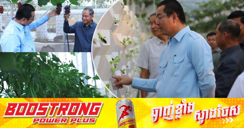 ប្រតិភូខេត្តព្រះសីហនុ ទស្សនកិច្ចមជ្ឈមណ្ឌលផ្គត់ផ្គង់បន្លែ និងផ្លែឈើ ដើម្បីទឹកចិត្តទៅលើវិស័យកសិកម្ម និងផ្តល់ការងារជូនប្រជាពលរដ្ឋ