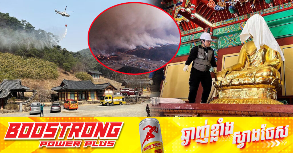 UPDATE: អ្នកបាត់បង់ជីវិតដោយសារភ្លើងឆេះព្រៃនៅកូរ៉េខាងត្បូង កើនដល់១៦នាក់