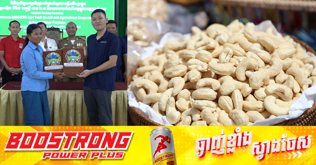 ក្រុមហ៊ុនក្នុងស្រុក ចុះកិច្ចសន្យាទិញគ្រាប់ស្វាយចន្ទីសរីរាង្គស្ងួត ១៥០តោន ពីកសិករសហគមន៍កសិកម្ម ៥ ក្នុងខេត្តព្រះវិហារ