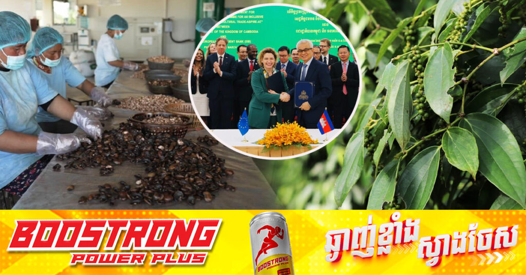 សហភាពអឺរ៉ុបវិនិយោគទឹកប្រាក់ជិត ៨០លានអឺរ៉ូ ដើម្បីធ្វើទំនើបកម្មវិស័យកសិកម្មនៅកម្ពុជា ​និងជួយឱ្យកសិករខ្នាត​មានលទ្ធភាពចូលទៅកាន់ទីផ្សារ