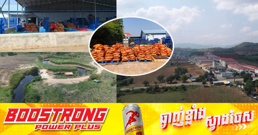 រោងចក្រកែច្នៃដំណាប់ស្វាយមួយកន្លែងនៅប៉ៃលិន បញ្ចេញសំណល់​រាវប៉ះពាល់ដល់ប្រភពទឹកសាធារណៈ