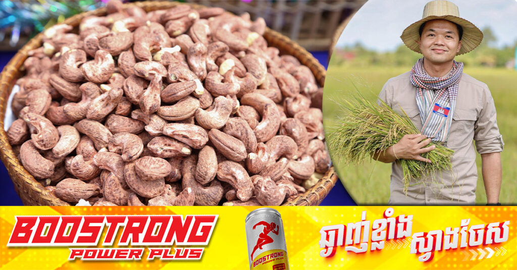 អ្នកនាំពាក្យក្រសួងកសិកម្ម៖ កម្ពុជាមិនមានបញ្ហាក្នុងការផ្គត់ផ្គង់គ្រាប់ស្វាយចន្ទីកែច្នៃទំហំ ៣០០០តោន/ឆ្នាំនោះទេ