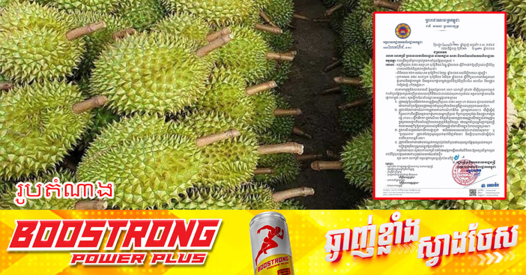 គយណែនាំដល់មន្រ្តីនៅតាមព្រំដែន ទប់ស្កាត់ការនាំចូលផ្លែទុរេនស្រស់ប្រើប្រាស់សារធាតុគីមីដែលប៉ះពាល់ដល់សុខភាពប្រជាជន