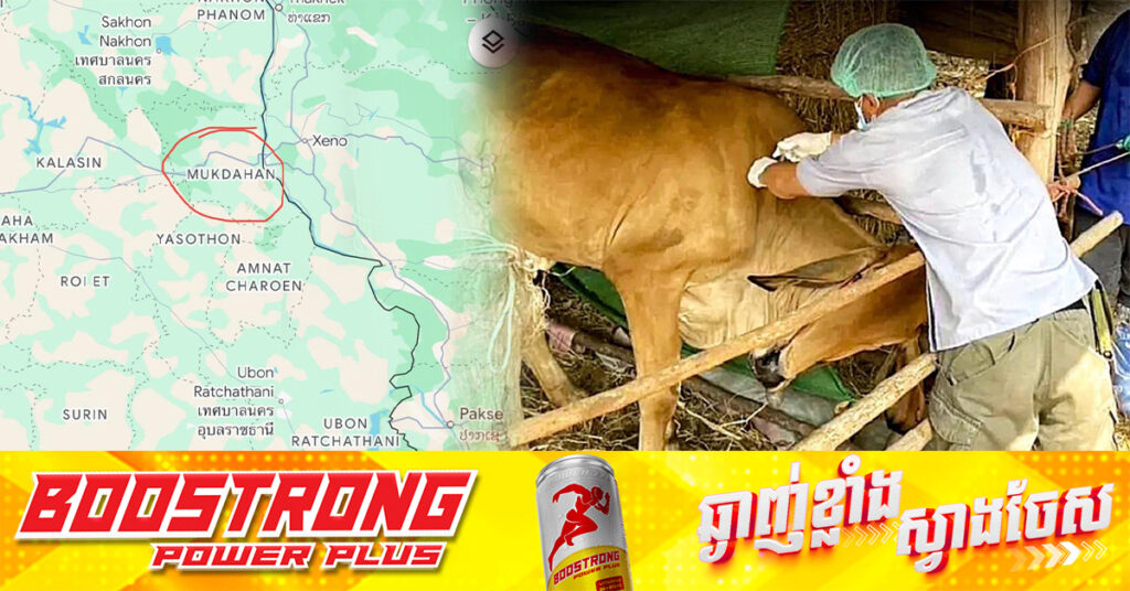 នាយកដ្ឋានប្រយុទ្ធនឹងជំងឺឆ្លងនៃក្រសួងសុខាភិបាលកម្ពុជា បង្ហាញពីជំងឺអង់ត្រាក់​ (ពិសធ្យូង) ដែលធ្វើឱ្យមានអ្នកបាត់បង់ជីវិតនៅប្រទេសថៃ !