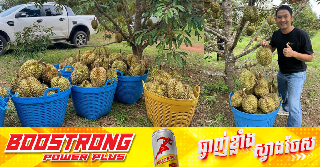 កសិករខ្មែរដាំទុរេន បារម្ភពីការនាំចូលផ្លែទុរេនពីប្រទេសវៀតណាម ធ្វើឲ្យខូចទីផ្សារទុរេនក្នុងស្រុក និងអាចប៉ះពាល់សុខភាព