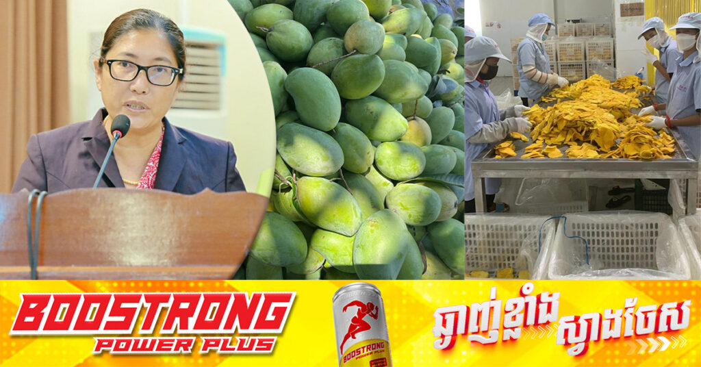 សមាគមស្វាយកែវរមៀតកំពង់ស្ពឺ ប្រកាសប្រមូលទិញស្វាយពីកសិករទូទាំងប្រទេសក្នុងតម្លៃសមរម្យ, ក្នុង១ថ្ងៃទិញ១០០តោន ទៅ១៥០តោន