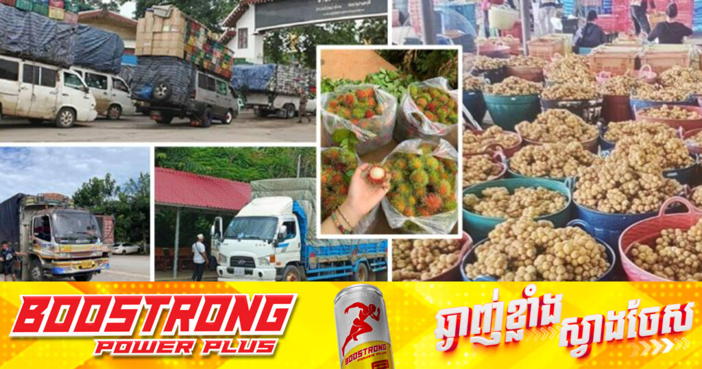 ស្ថាប័នគយកម្ពុជា៖ ហាមឃាត់ការនាំចូលបន្លែ និងផ្លែឈើគ្រប់ប្រភេទពីប្រទេសថៃ ចំណែកទំនិញផ្សេងទៀតនៅដំណើរការធម្មតា