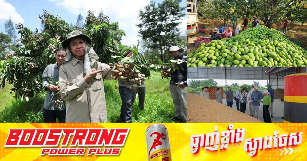 កម្ពុជានាំចេញផលិតផលកសិកម្មជិត ៨លានតោន ទទួលបានចំណូលជិត ៣ពាន់លានដុល្លារ នៅឆមាសទី១