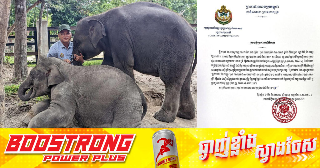 លោក ទ្រី ស៊ីថេង បញ្ជាក់ថា បញ្ហាលោក មិនជាប់ពាក់ព័ន្ធនឹងក្រសួងកសិកម្មនោះទេ តែជាកិច្ចការរបស់អង្គការ Wildlife Alliance