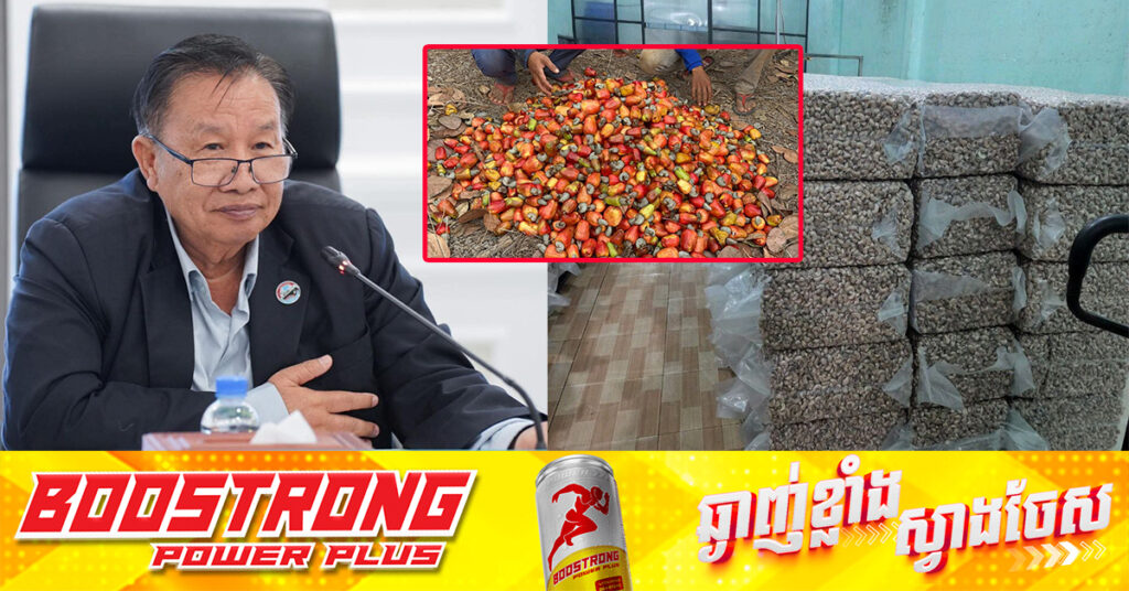 រោងចក្រចម្រាញ់ប្រេងពីសម្បកស្វាយចន្ទីដំបូងគេនៅកម្ពុជា ដែលវិនិយោគឡើងដោយកូរ៉េខាងត្បូង នឹងបើកដំណើរការនៅឆ្នាំ២០២៦