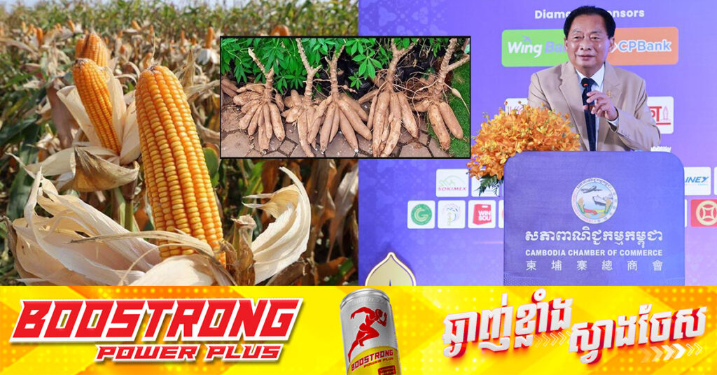 ឧកញ៉ា ម៉ុង ឫទ្ធី ស្នើឱ្យអ្នកជំនួញក្នុងស្រុក ប្រើប្រាស់វត្ថុធាតុដើម ពោត ដំឡូងមី ផលិតចំណីសត្វឱ្យបានច្រើន ដើម្បីជួយដោះស្រាយបញ្ហាកសិផលខ្វះទីផ្សារ