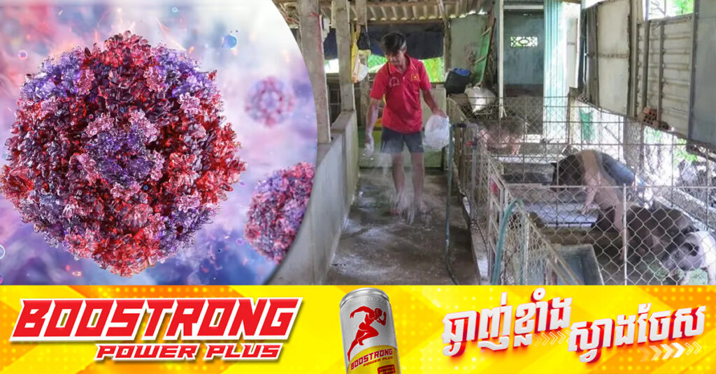 វៀតណាម ព្រមានពីការរំខានដល់ការផ្គត់ផ្គង់ស្បៀង ខណៈជំងឺប៉េស្តជ្រូកអាហ្វ្រិកកំពុងរាលដាល