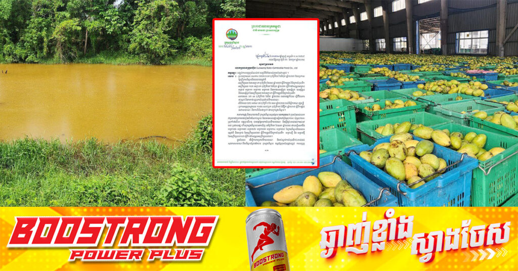 ក្រសួងបរិស្ថាន តម្រូវឱ្យរោងចក្រផលិតដំណាប់ស្វាយ ស្រុកកំពង់សីលា បញ្ឈប់ការបញ្ចេញសំណល់រាវចេញពីទីតាំងក្រុមហ៊ុនជាបន្ទាន់