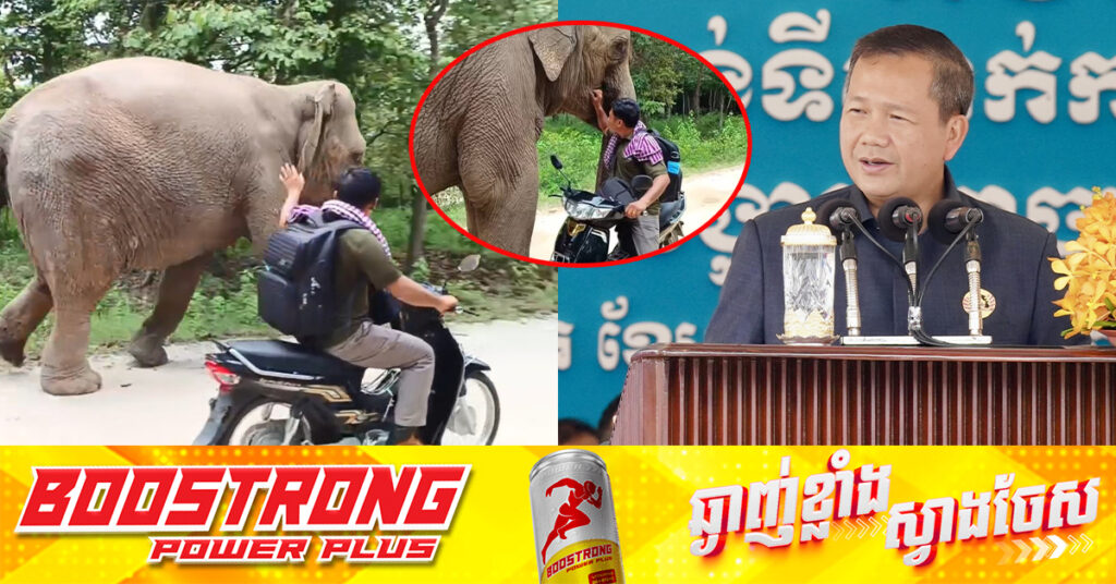 នាយករដ្ឋមន្ត្រីកម្ពុជា៖ «រឿង លោក ទ្រី ស៊ីថេង និងដំរី Lucky គឺជារឿងរបស់ អង្គការ មិនមែនរដ្ឋនោះទេ តែយើងក៏មិនបានឱបដៃមើលនោះដែរ ទើបរដ្ឋមន្រ្តីកសិកម្មបានណាត់ជួបនៅថ្ងៃនេះ ដើម្បីដោះស្រាយ»