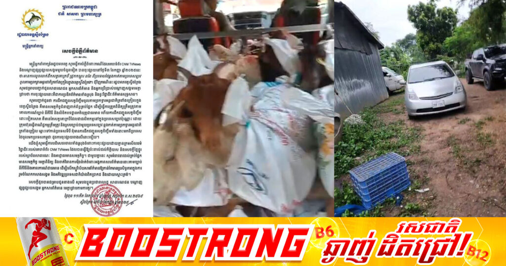 រដ្ឋបាលខេត្ដស្ទឹងត្រែង បដិសេធចោលទាំងស្រុង ចំពោះការផ្សព្វផ្សាយថា មានការលួចដឹកសត្វគោក្របី ជ្រូកកណ្តុរ ពពែ ពីថៃឆ្លងកាត់ឡាវ ចូលតាមច្រកទ្វារអន្តរជាតិត្រពាំងក្រៀល