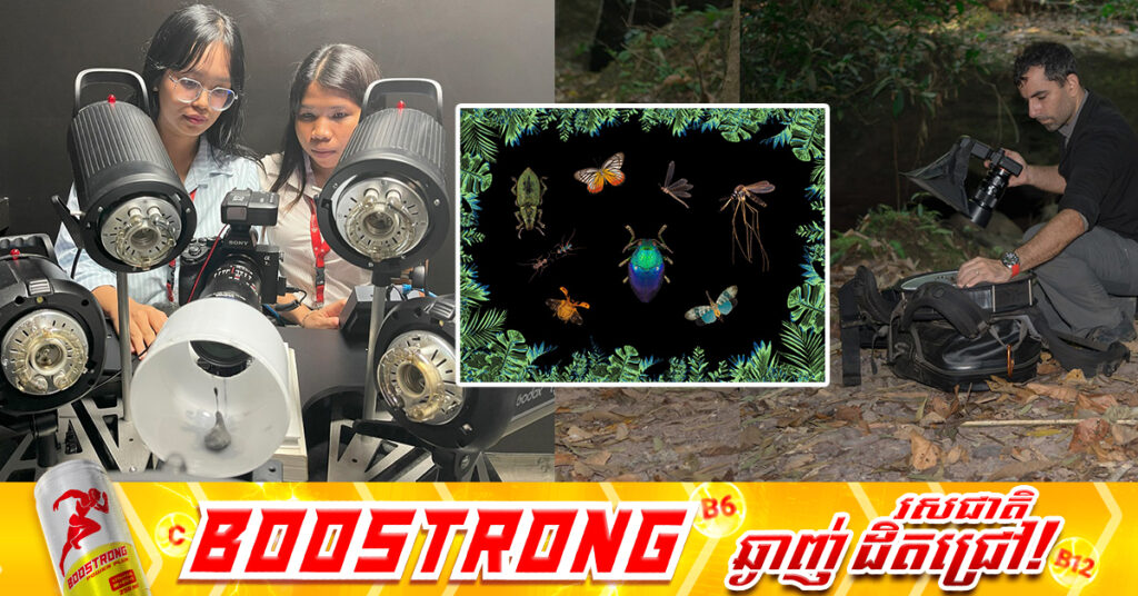 ស្ថានទូតបារាំង និងវិទ្យាស្ថានប៉ាស្ទ័រកម្ពុជា សហការរៀបចំពិព័រណ៍ «សត្វល្អិត៖ សិល្បៈនៃភាពលម្អិត»