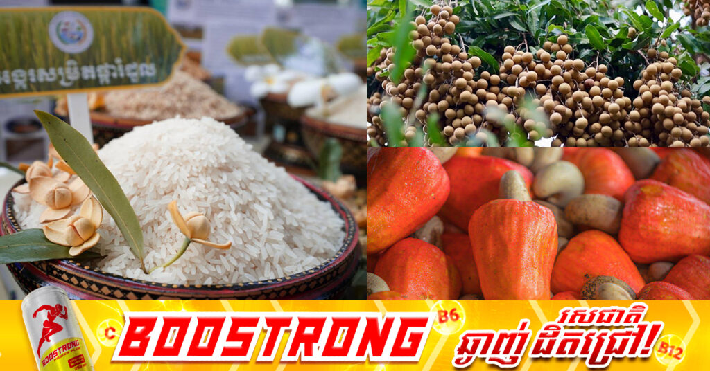 កម្ពុជា រកចំណូលបានជាង៤ពាន់លានដុល្លារ ពីការនាំចេញកសិផលជាង១១លានតោន ក្នុងរយៈពេល១០ខែឆ្នាំនេះ