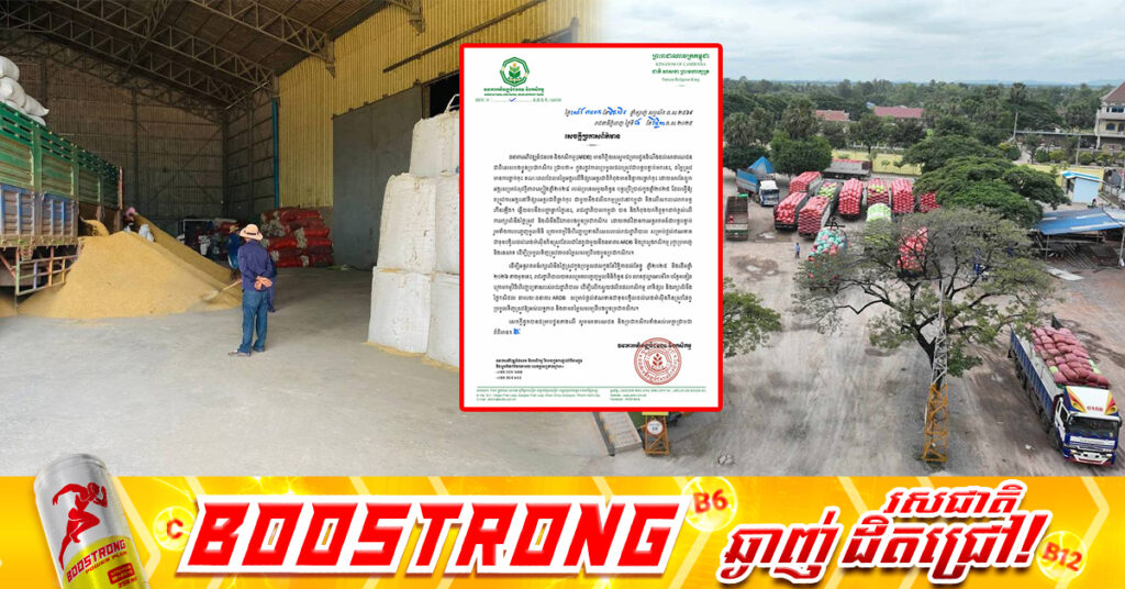 រាជរដ្ឋាភិបាលសម្រេចបញ្ចេញទុនបន្ថែម៤០លានដុល្លារ​ សម្រាប់ប្រមូលទិញស្រូវក្នុងរដូវច្រូតកាត់ចុងឆ្នាំ២០២៥ និងដើមឆ្នាំ២០២៦