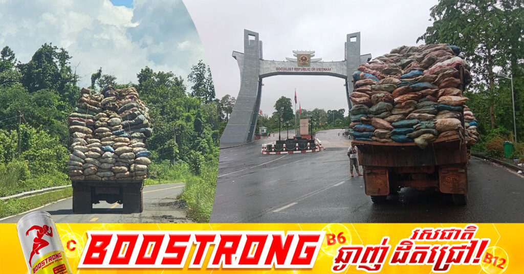 ម្ចាស់ចំការកៅស៊ូ នៅខេត្តរតនគិរី កំពុងមមាញឹកប្រមូលផលជ័រលក់ឲ្យឈ្មួញខ្មែរ និងវៀតណាម ខណៈតម្លៃល្អគួរសម