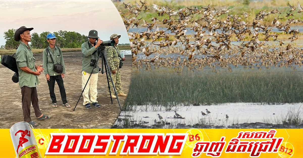 ជំរឿនសត្វស្លាបទឹក នៅតំបន់ការពារទេសភាពបឹងព្រែកល្ពៅ និងអន្លង់ព្រីង មាន ១៦១ប្រភេទ