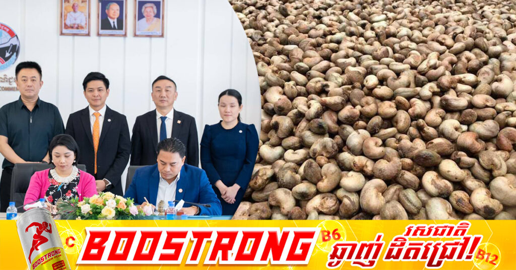 កម្ពុជា នឹងនាំចេញគ្រាប់ស្វាយចន្ទីសំបក ក្នតម្លៃប្រមាណ ៣៥ លានដុល្លារអាមេរិកដំណាក់កាលដំបូង លើផែនការប្រមាណ ៤០០ លានដុល្លារទៅកាន់ទីផ្សារប្រទេសចិន