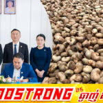 កម្ពុជា នឹងនាំចេញគ្រាប់ស្វាយចន្ទីសំបក ក្នតម្លៃប្រមាណ ៣៥ លានដុល្លារអាមេរិកដំណាក់កាលដំបូង លើផែនការប្រមាណ ៤០០ លានដុល្លារទៅកាន់ទីផ្សារប្រទេសចិន