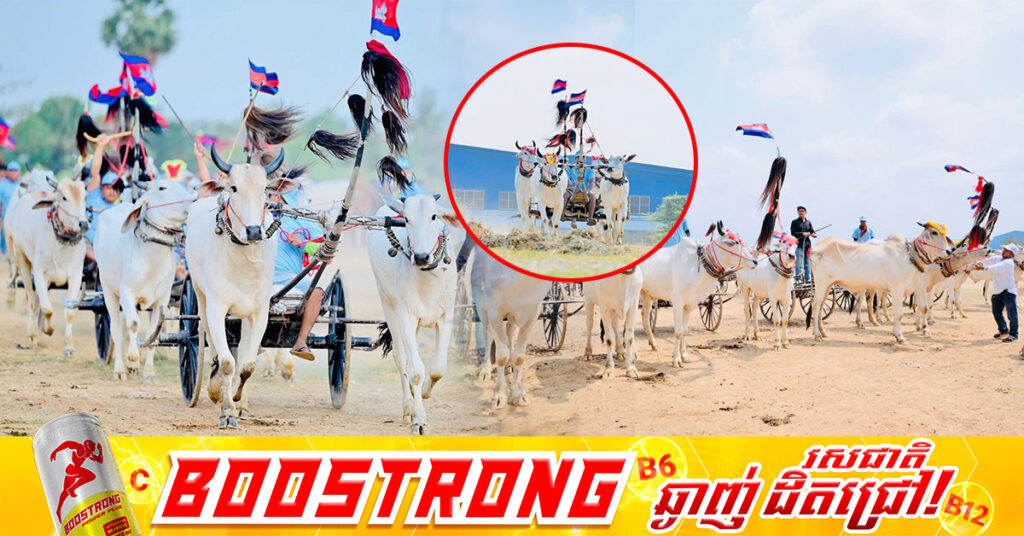 ពិធីប្រណាំងរទេះសាឡីគោលឿន ឆ្នាំ២០២៦ នេះ នឹងរៀបចំនៅដើមខែមេសា នៅខេត្តកំពង់ស្ពឺ