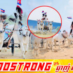 ពិធីប្រណាំងរទេះសាឡីគោលឿន ឆ្នាំ២០២៦ នេះ នឹងរៀបចំនៅដើមខែមេសា នៅខេត្តកំពង់ស្ពឺ