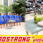 ក្មេងទំនើងដែលធ្វើសកម្មភាពវា-យ និងគ-ប់រថយន្តម៉ាកអាវតា០៧ បណ្តាលឱ្យខូចខាតសមត្ថកិច្ចឃាត់ខ្លួនសរុប ១១នាក់ និងបញ្ជូនទៅតុលាការចាត់ការតាមនីតិវិធី