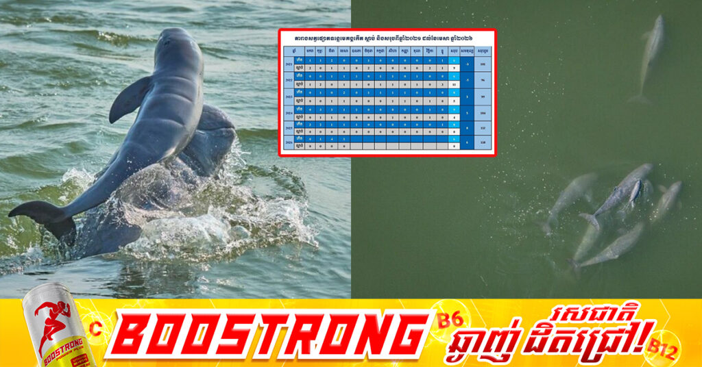 សត្វផ្សោត នៅកម្ពុជាអាចនឹងមានកំណើនខ្ពស់នៅឆ្នាំ២០២៦