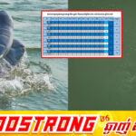 សត្វផ្សោត នៅកម្ពុជាអាចនឹងមានកំណើនខ្ពស់នៅឆ្នាំ២០២៦