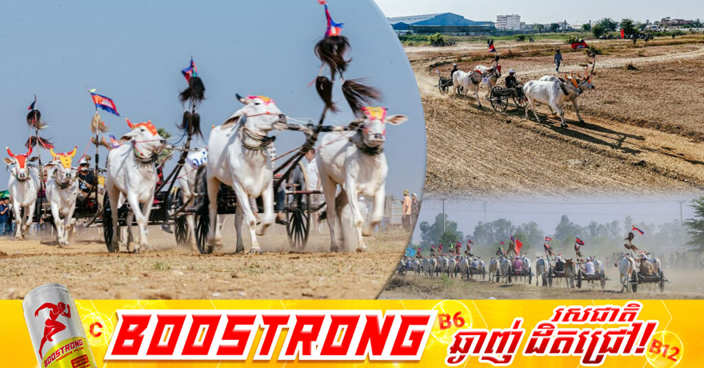 ព្រឹត្តិការណ៍ប្រណាំងរទេះសាឡីគោលឿននៅខេត្តកំពង់ស្ពឺឆ្នាំនេះ គគ្រឹកគ្រេងជាងឆ្នាំមុន