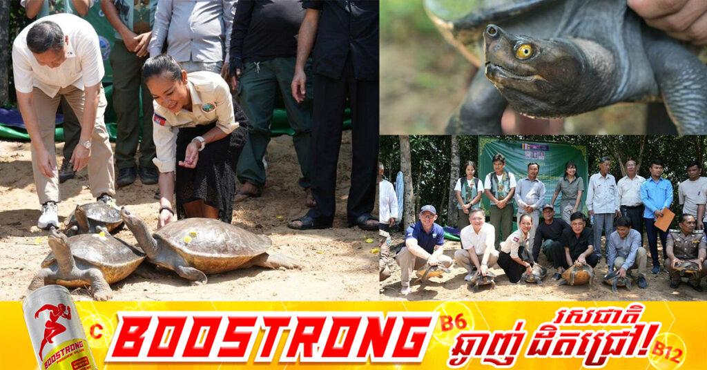 ឧរង្គសត្វតំណាងជាតិ ចំនួន ២០ក្បាល ត្រូវបាន​លែង​ចូល​ក្នុងដែនជម្រកនៃប្រព័ន្ធព្រែកស្រែអំបិល ដើម្បីបង្កើនផលស្តុកក្នុងធម្មជាតិឡើងវិញ