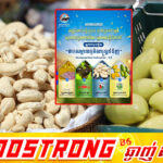 កម្ពុជាបន្តពង្រឹងអត្តសញ្ញាណផលិតផលជាតិ ដោយបានចុះបញ្ជីម៉ាកសម្គាល់ភូមិសាស្ត្រទំនិញ (GI) ជាផ្លូវការលើផលិតផលសក្តានុពល ៤ មុខបន្ថែម