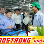 ឯកឧត្តមរដ្ឋមន្រ្តី ហេង សួរ អញ្ជើញចុះពិនិត្យមើលខ្សែច្រវាក់ផលិតកម្មក្រុមហ៊ុន THACO AGRI ក្នុងខេត្តក្រចេះ ដែលផ្តល់ឱកាសការងារប្រមាណ ២ម៉ឺននាក់ និងផ្ទេរជំនាញបច្ចេកទេសកសិកម្មទំនើប