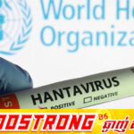 WHO៖ អ្នកតេស្តវិជ្ជមានមេរោគ Hantavirus កើនដល់ ៦នាក់ ខណៈមេរោគអាចបង្កឱ្យមានអត្រាមរណភាព ៣៨%