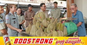 មន្ត្រីជំនាញនិងអាជ្ញាធរខេត្តកំពតចុះពិនិត្យណែនាំឱ្យអាជីវករលក់ដូរទុរេនបិទស្លាកតម្លៃនិងប្រភពច្បាស់លាស់