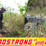 ក្រុមការងារ CMAC កំពុងបន្តរុករកសំណល់ជាតិផ្ទុះ នៅបរិវេណប្រាសាទព្រះវិហារ ដែលជាគម្រោងរបស់អង្គការ UNESCO