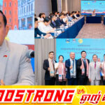 សហគ្រាសទេសចរណ៍ធំៗ និង Influencers ល្បីៗ នៅខេត្តហៃណានសាទរការលើកលែងទិដ្ឋាការដល់ប្រជាជនចិនរបស់កម្ពុជា ដោយប្តេជ្ញាបង្កើនចំនួនភ្ញៀវទេសចរចិនមកកម្ពុជាឱ្យលើសពីចំនួន៣០០.០០០នាក់ដែលកំពុងមានស្រាប់