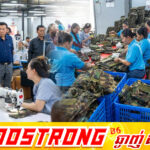 សម្តេចតេជោ ហ៊ុន សែន ជំរុញការផលិតសម្ភារៈយោធាក្នុងស្រុកដើម្បីការពារជាតិ និងត្រៀមលក្ខណៈនាំចេញទៅបរទេស