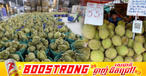 វៀតណាមឃាត់ខ្លួនមន្ត្រីជាន់ខ្ពស់ ៤រូប ជុំវិញករណីពុករលួយក្នុងការនាំចេញទុរេនទៅប្រទេសចិន
