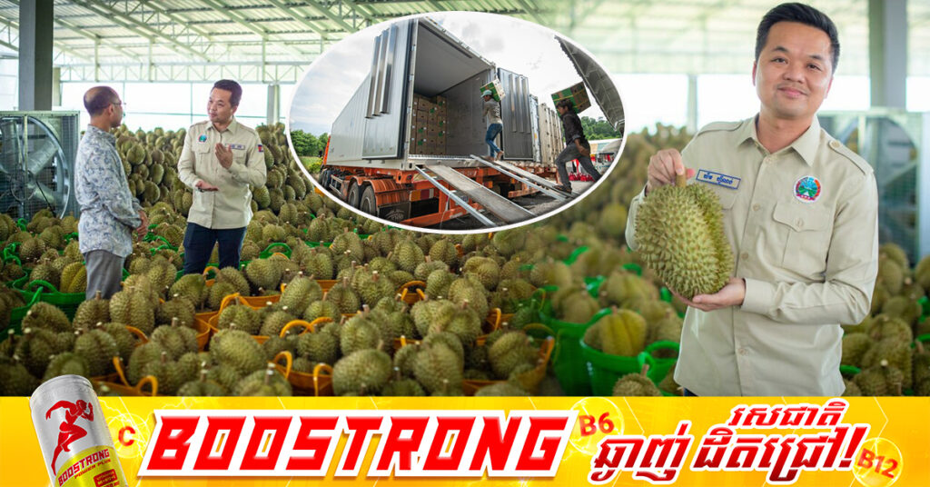 សមិទ្ធផលថ្មី ការនាំចេញទុរេនស្រស់កម្ពុជាទៅកាន់ទីផ្សារប្រទេសចិនបន្តកើនឡើងជាលំដាប់