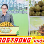 លោកជំទាវ ចម និម្មល៖ ផ្លែឈើកម្ពុជាធ្វើដំណើរវិវត្តន៍ពីចម្ការ មកដល់ទីផ្សារ និងរហូតដល់មានវត្តមាននៅលើតុអាហារនៅជុំវិញពិភពលោកជាបន្តបន្ទាប់