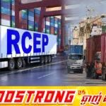 ពាណិជ្ជកម្មកម្ពុជាជាមួយប្លុក RCEP កើនឡើងលើស២៤ពាន់លាន ដុល្លារក្នុងឆមាសទី១ ឆ្នាំនេះ