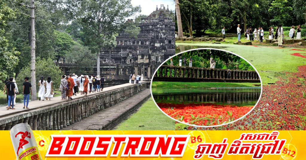 សម្រស់រដូវបៃតងនៅប្រាសាទបាភួន ជាផ្ទាំងទស្សនីយភាពធម្មជាតិដ៏ត្រកាលនៃអរិយធម៌អង្គរ