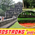 សម្រស់រដូវបៃតងនៅប្រាសាទបាភួន ជាផ្ទាំងទស្សនីយភាពធម្មជាតិដ៏ត្រកាលនៃអរិយធម៌អង្គរ